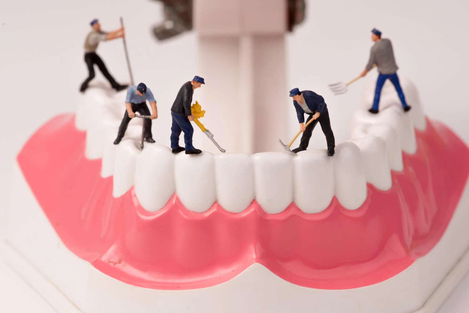 elite-dental-active-maintenance-program