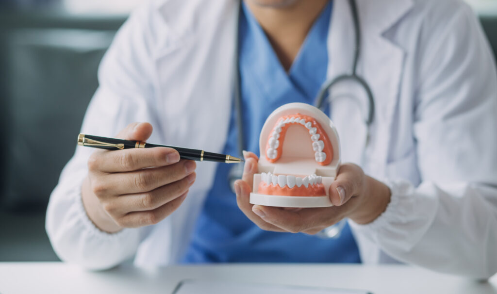 Dental professional explaining with tooth model.